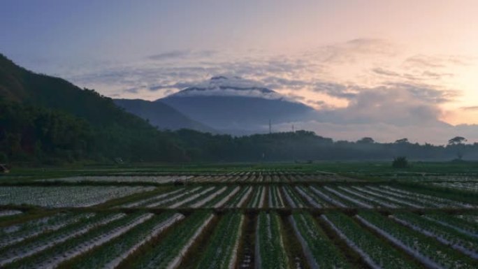 4k延时日落，可以看到稻田图案和林贾尼山的背景，位于被群山环绕的森巴伦龙目岛村