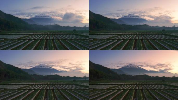 4k延时日落，可以看到稻田图案和林贾尼山的背景，位于被群山环绕的森巴伦龙目岛村