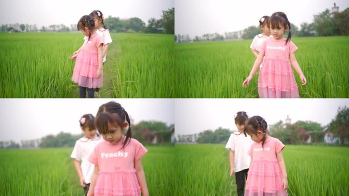 亚洲女孩快乐快乐地走在绿色的田野里。