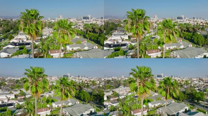 无人机在洛杉矶韩国城环绕棕榈树拍摄