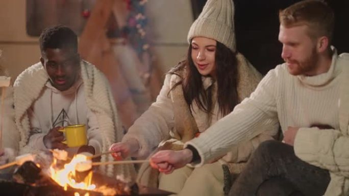多种族的朋友在后院生锈，在篝火上烤棉花糖，圣诞快乐派对