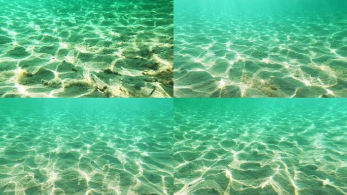 水下生命。阳光反射在海底