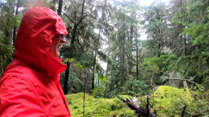 在温带雨林中徒步旅行的第一人称视角