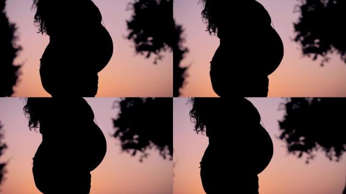 在夕阳的粉红色灯光下发现孕妇的腹部