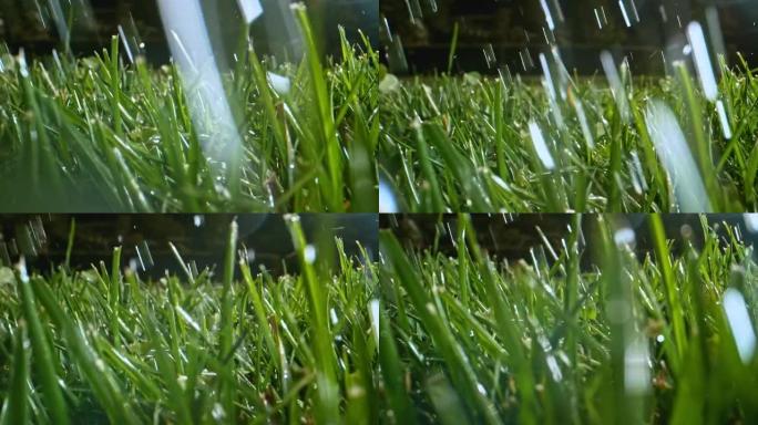 给草浇水水源管理绿植养护草地养护