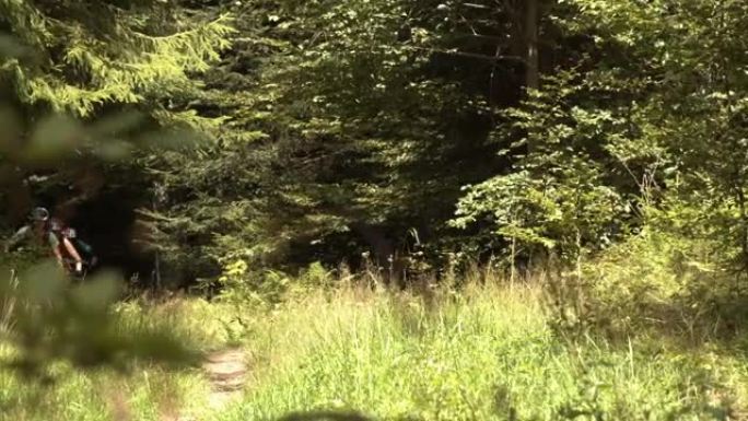 三个山地车骑在树林中的小路上