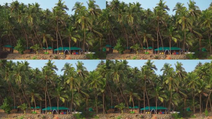 印度果阿Kakolem海滩海边的棕榈树，下面有海滩棚屋和小屋。海滩棕榈树下的小屋。自然暑假背景。