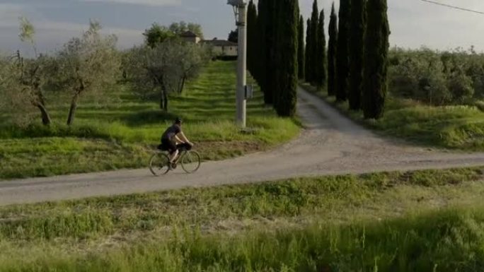 骑自行车的人在葡萄园附近的柏树上骑自行车在砾石车道上的空中无人机视图