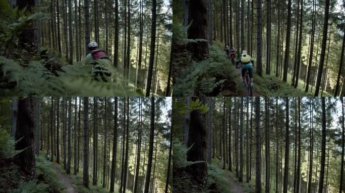 三个山地车手穿过树林