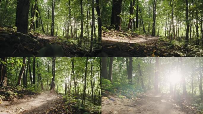 一个充满活力的骑自行车的人在阳光下沿着山地车沿着森林轨道快速骑行，扬起灰尘，跳过跳板