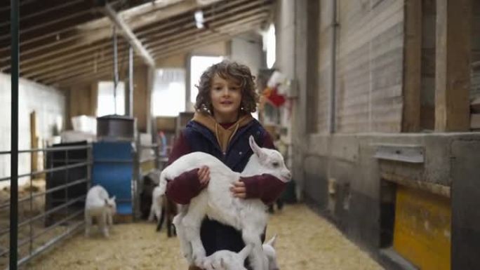 小男孩站在谷仓里抱着小山羊
