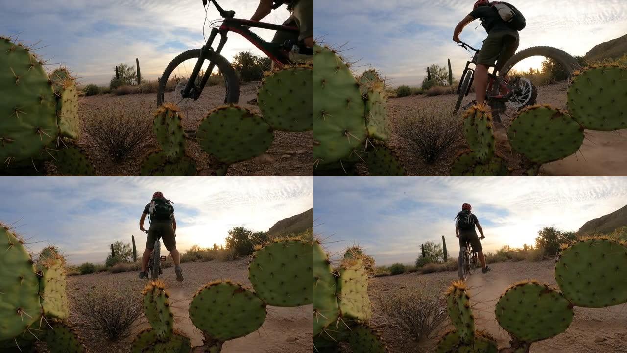 男性山地自行车手在日出时刹车alongs沙漠小径