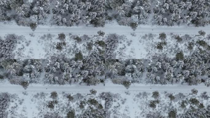 空中无人机拍摄了一名妇女在树林中沿雪道行走的镜头