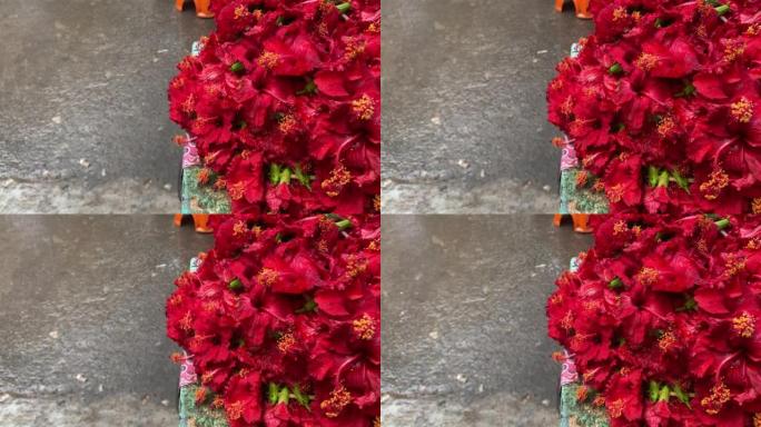 芙蓉花正在Kalighat市场上出售给奉献者。Vieo在孟加拉新年的Kalighat开枪。