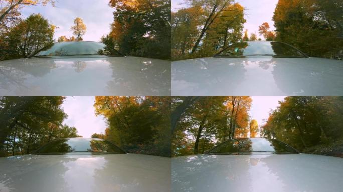 LD森林反映在驶过森林的汽车的挡风玻璃上