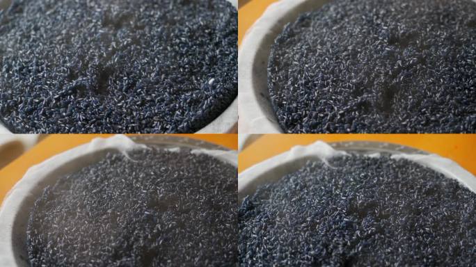 制作中国清明节的传统食物五色糯米饭的工序