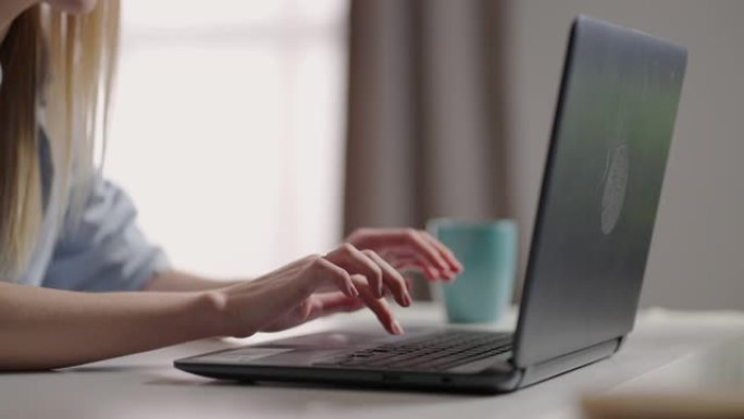女性手在笔记本电脑键盘上打字。特写。手在笔记本电脑的键盘上打字。正在做一个新项目。
