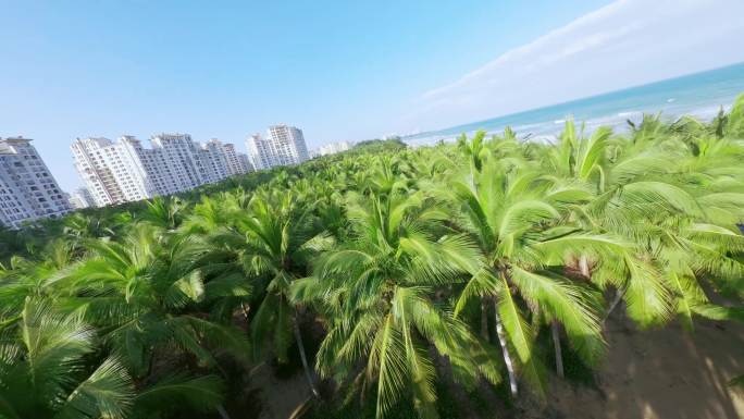 海南琼海长滩雨林北海边沙滩椰林海浪航拍