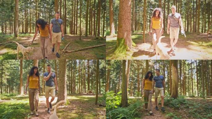一对夫妇带着他们的狗在阳光明媚的森林里徒步旅行