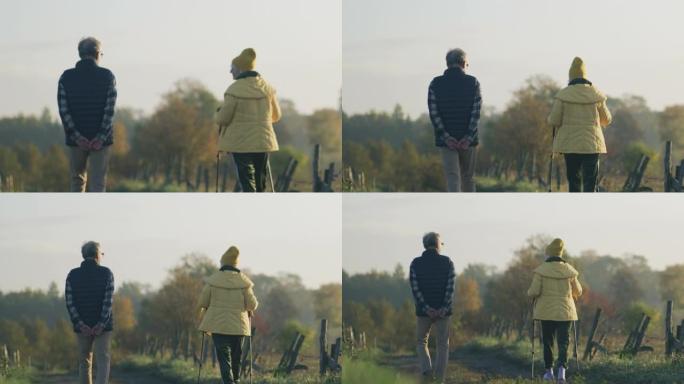 散步的老年夫妇。乡村地区的北欧行走