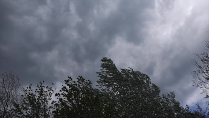 在即将来临的暴风雨和乌云在天空中向前移动时，树木的山峰被风移动的广角视图