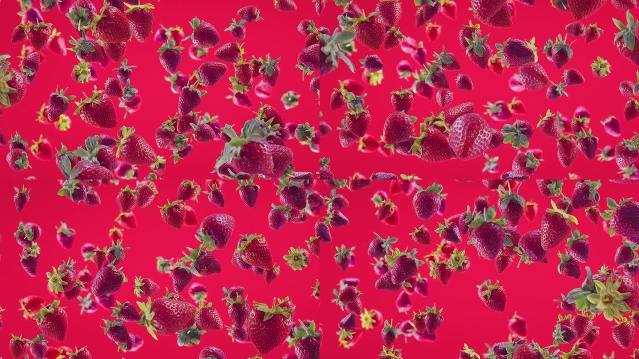 草莓，切片落在紫红色背景上。