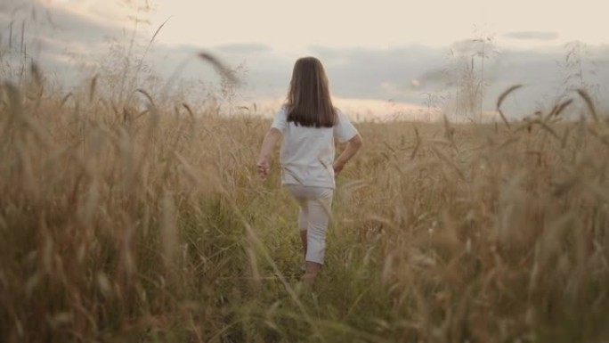 慢镜头，镜头跟随一个4-5岁的小女孩在麦田里奔跑，夕阳下金色的小穗快乐而自由。快乐的童年。头发在阳光