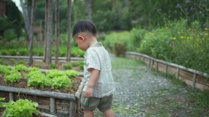 男婴在菜园玩耍
