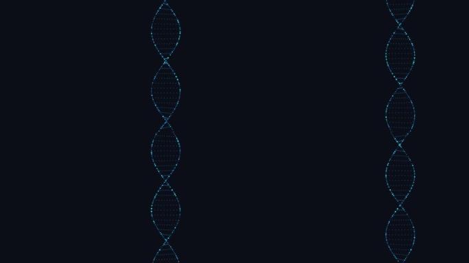 DNA结构分子旋转