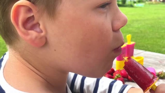 一个快乐的高加索男孩吃他花园里种的草莓自制冰淇淋的特写镜头。一种环保产品。