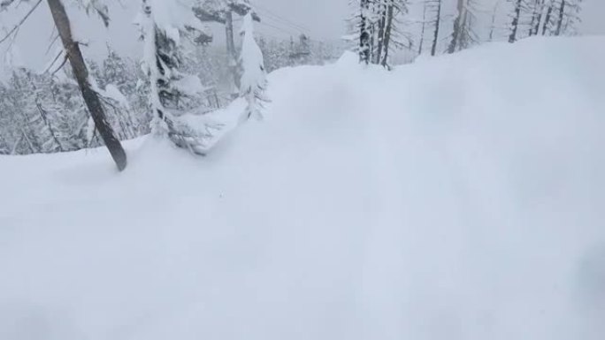 滑雪穿越粉雪的第一人称视角