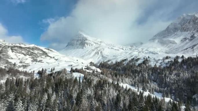 飞越白雪覆盖的森林，在白雪覆盖的高山山脉下