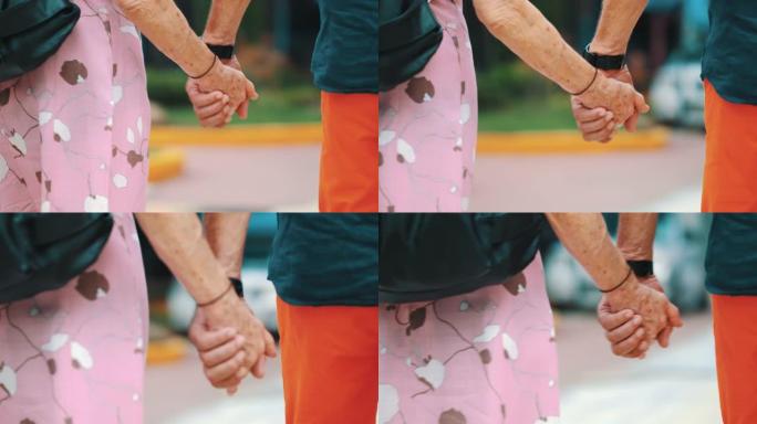 后视图: 高级夫妇在游乐园牵手