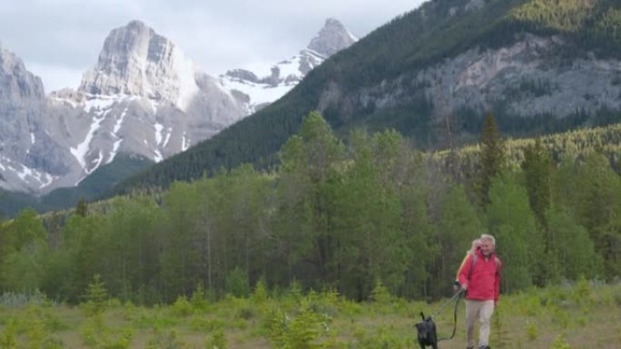 成熟的夫妇带着狗在山上的草地上行走