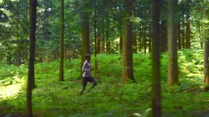 SLO MO TS非裔美国妇女每天在阳光明媚的森林中奔跑