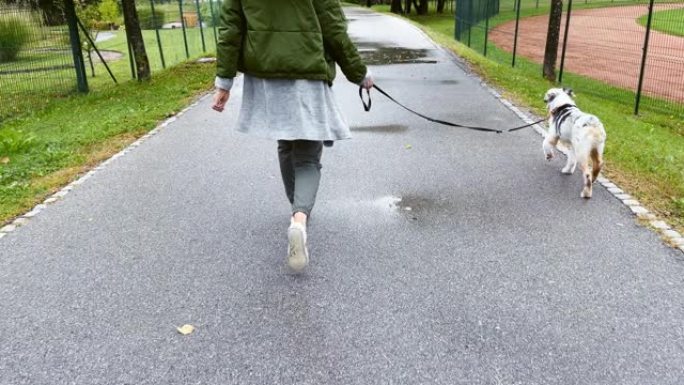 SLO MO TS女人用皮带遛狗穿过公园