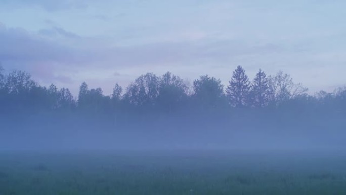 草原上雄伟的日出被树木环绕。春天的风景