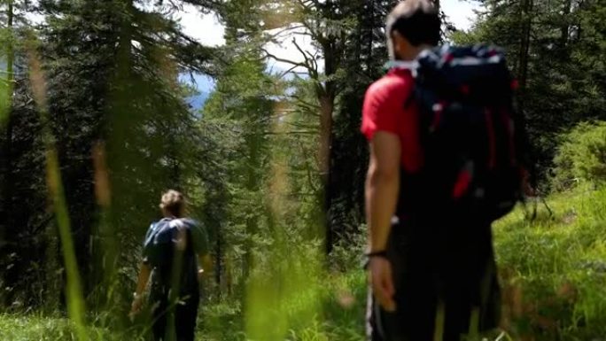 白云岩上的户外冒险: 在森林中徒步旅行