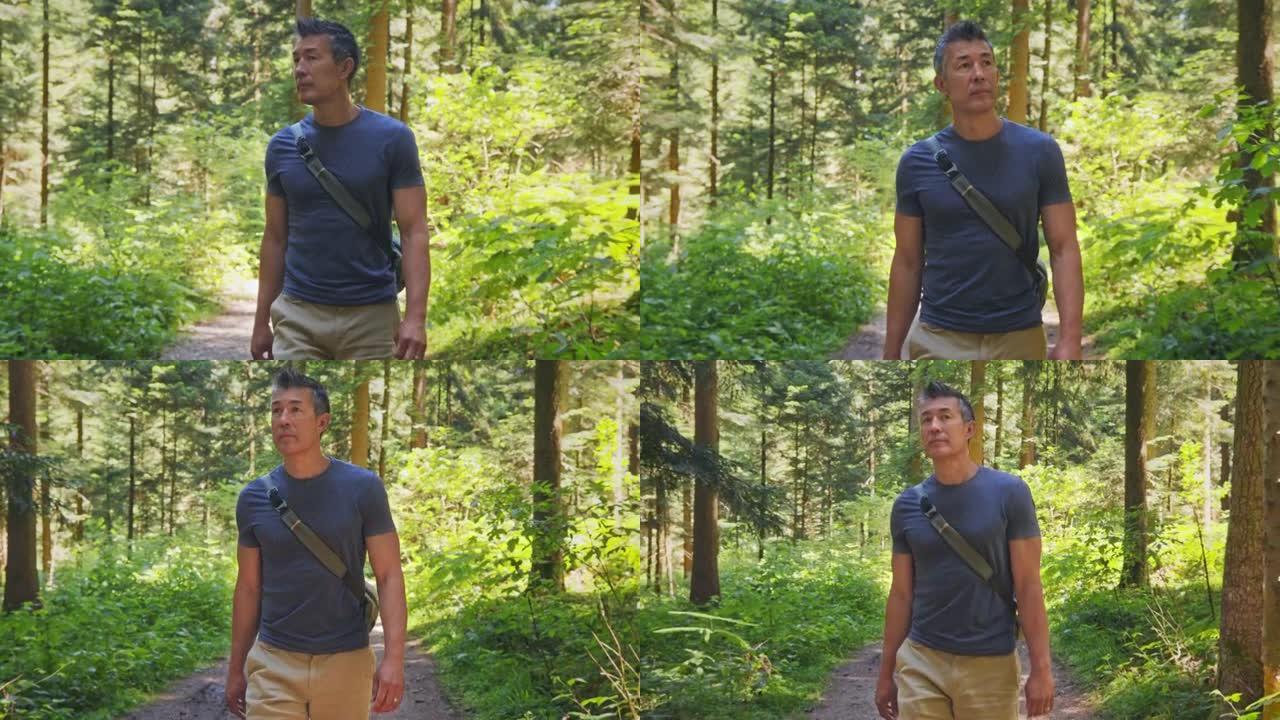 TS男子在阳光明媚的日子在森林里散步