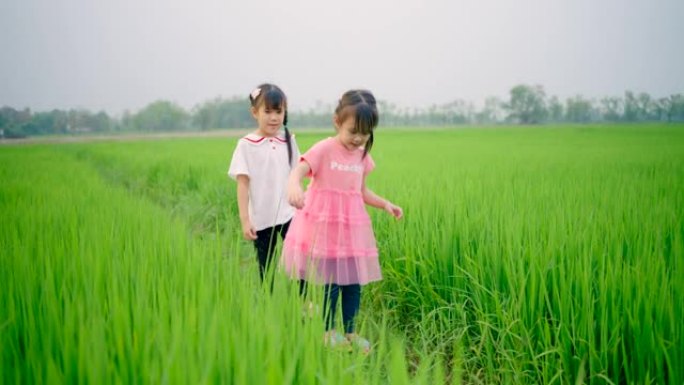 亚洲女孩快乐快乐地走在绿色的田野里。