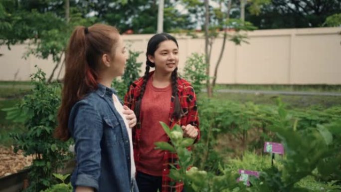 两个十几岁的女孩在城市花园里一起给植物浇水。