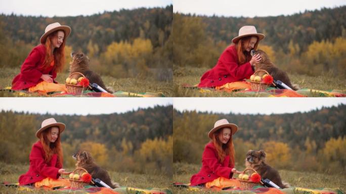 一个年轻的女人在一个秋天的公园里，带着一只狗。秋季感恩节静果配格子、南瓜和苹果。秋季周末的想法，单身