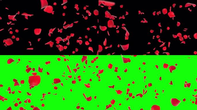 抽象背景飞翔的红色玫瑰花瓣逼真的3D动画绿色屏幕循环。
