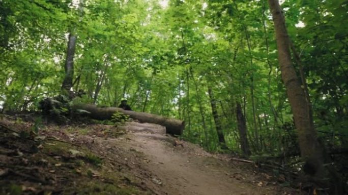 视差变焦是一个专业的山地自行车骑行者在绿色森林中高速跳过障碍物和蹦床的电影镜头。穿越森林的大气镜头