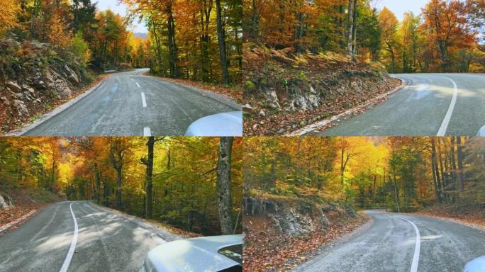 秋天，汽车在柏油路道上穿过森林