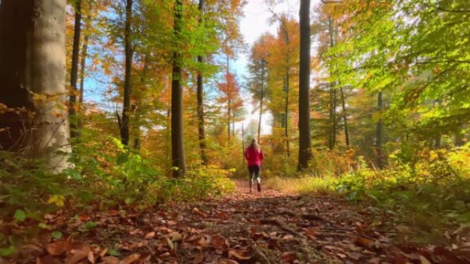 LD女跑步者在树叶覆盖的阳光小径上在森林中奔跑