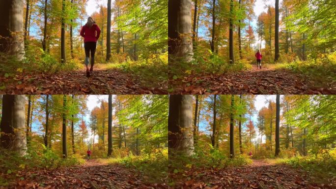 LD女跑步者在树叶覆盖的阳光小径上在森林中奔跑
