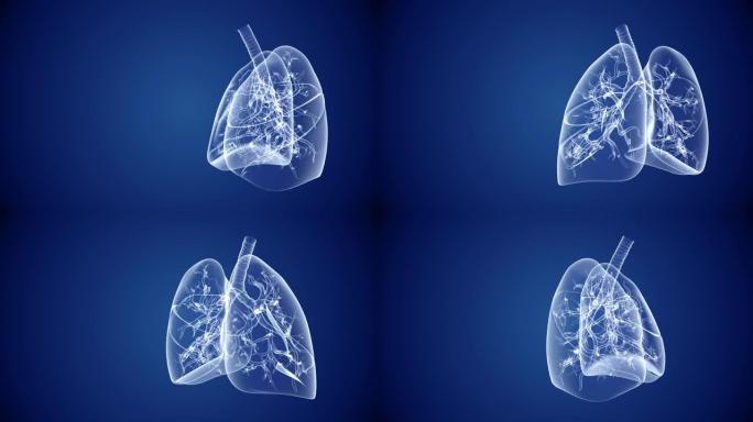 人类肺保健和医学摘要背景