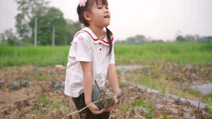 亚洲女孩快乐快乐地走在绿色的田野里。