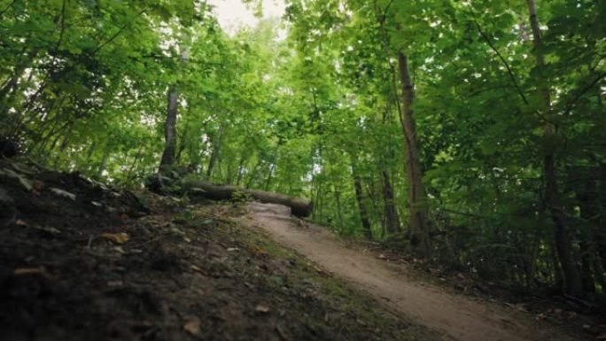 山地自行车骑手在森林步道上高速行驶